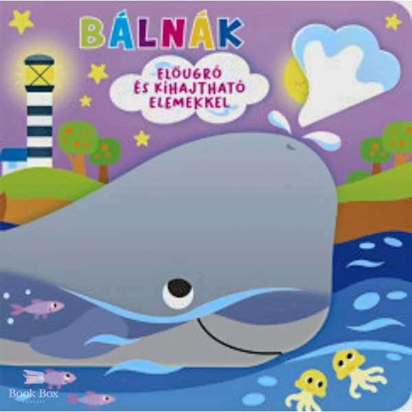 Ki bújt el? Bálnák