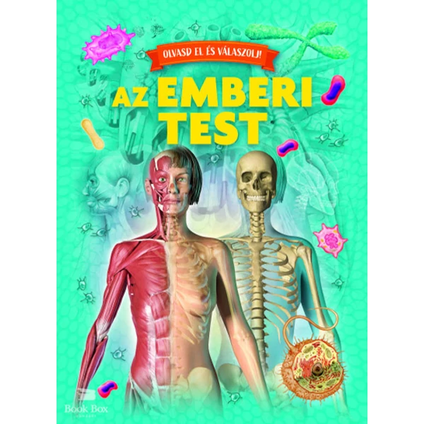 Olvasd el és válaszolj! - Emberi test