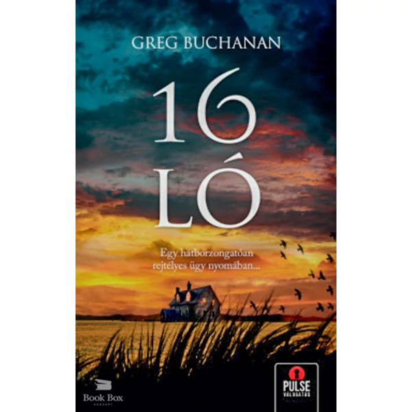 16 ló