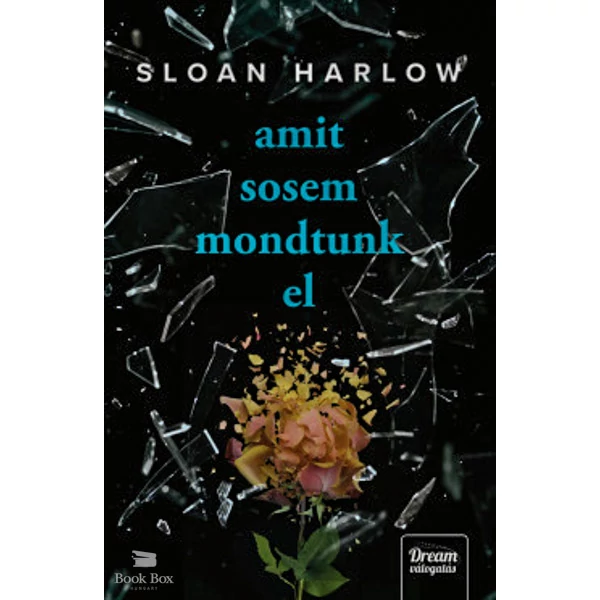 Amit sosem mondtunk el