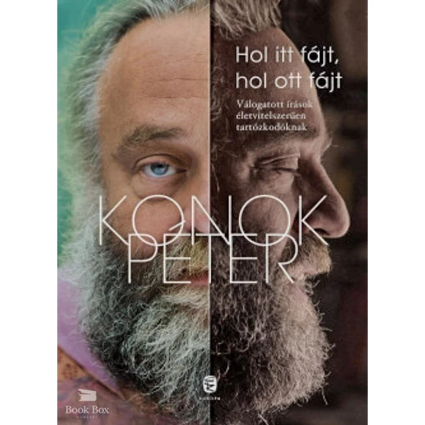 Hol itt fájt, hol ott fájt- Válogatott írások életvitelszerűen tartózkodóknak