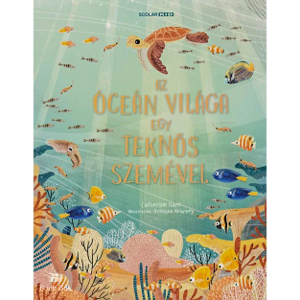 Az óceán világa egy teknős szemével
