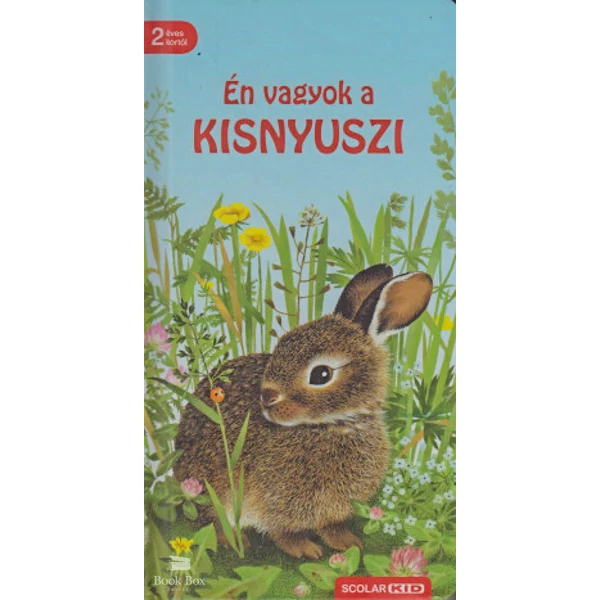 Én vagyok a kisnyuszi