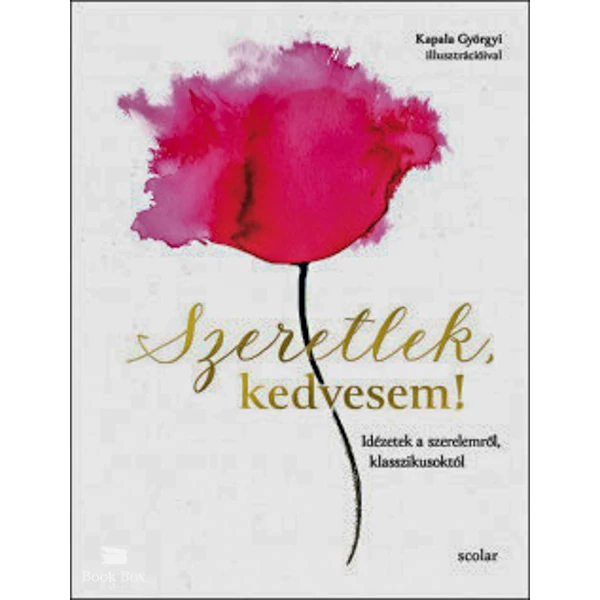Szeretlek, kedvesem!- Idézetek a szerelemről, klasszikusoktól
