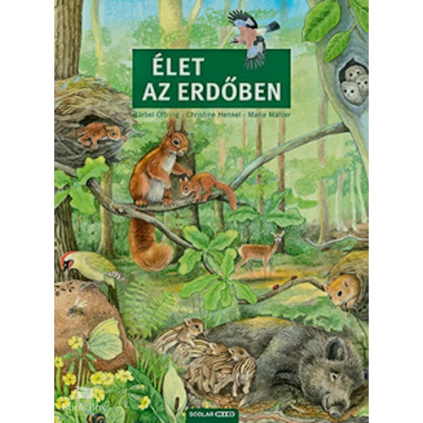 Élet az erdőben