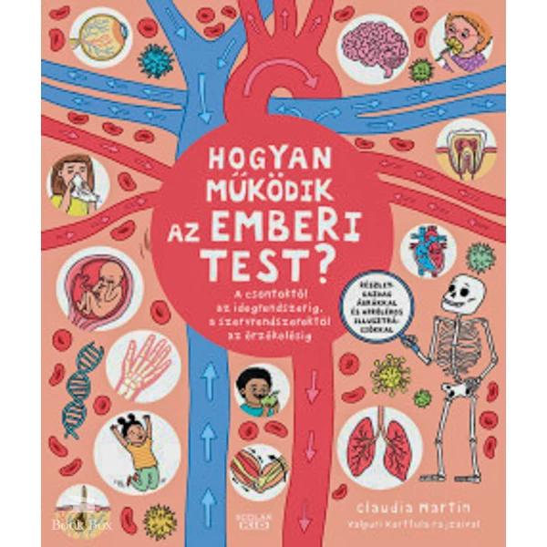 Hogyan működik az emberi test?- A csontoktól az idegrendszerig, a szervrendszerektől az érzékelésig