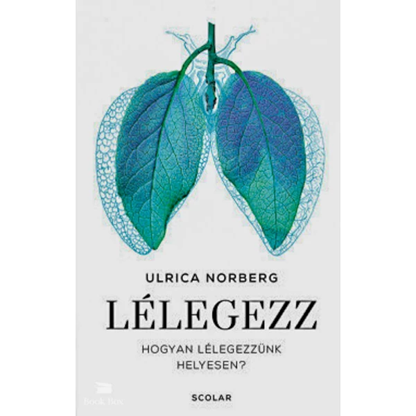 Lélegezz- Hogyan lélegezzünk helyesen?