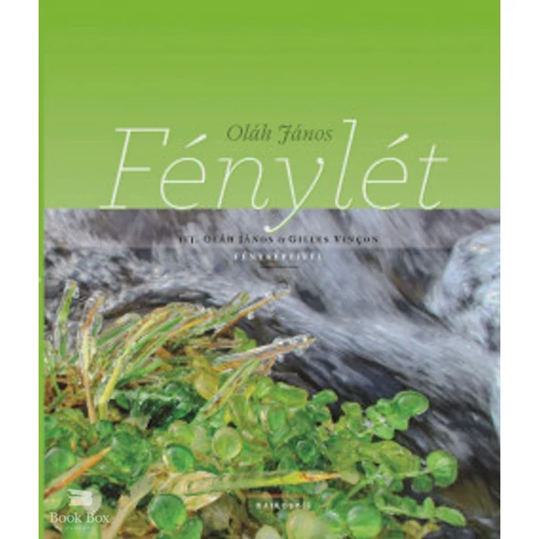 Fénylét