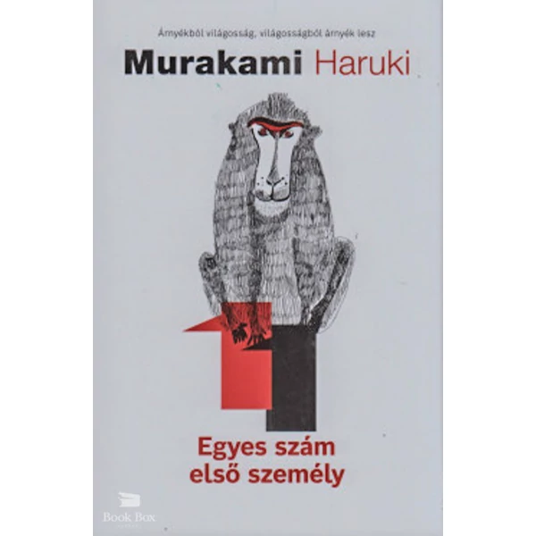 Egyes szám első személy