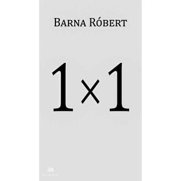1 × 1