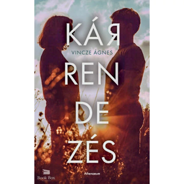 Kárrendezés