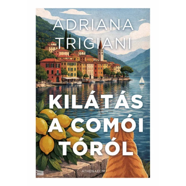 Kilátás a Comói-tóról