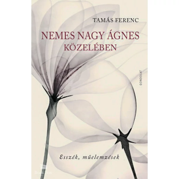 Nemes Nagy Ágnes közelében