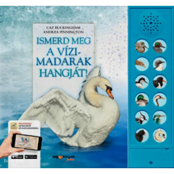 Ismerd meg a vízimadarak hangját!- A vízi élőhelyek madárvilága életre kel