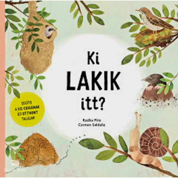 Ki lakik itt?- Segíts a kis csigának új otthont találni!