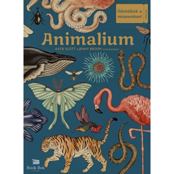 Animalium - Üdvözlünk a múzeumban!
