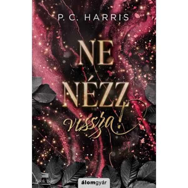Ne nézz vissza!