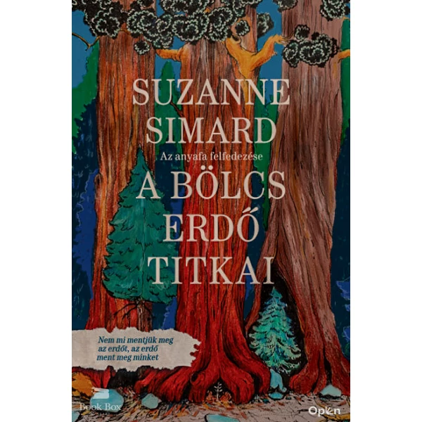 A bölcs erdő titkai- Az anyafa felfedezése