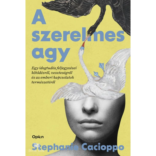 A szerelmes agy