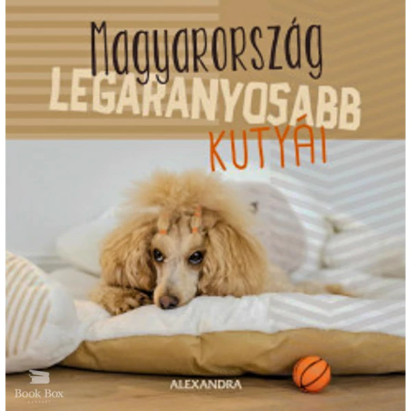 Magyarország legaranyosabb kutyái- 365 gondolat