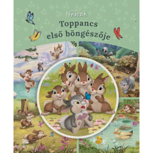 Disney Nyuszik - Toppancs első böngészője