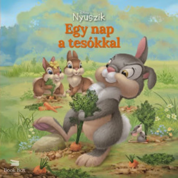 Disney Nyuszik - Egy nap a tesókkal