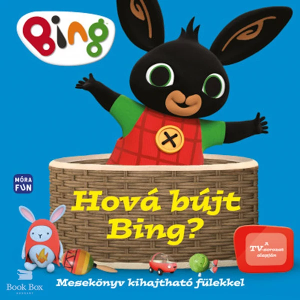 Hová bújt Bing?- Mesekönyv kihajtható fülekkel