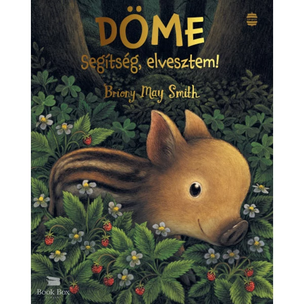 Döme - Segítség, elvesztem!