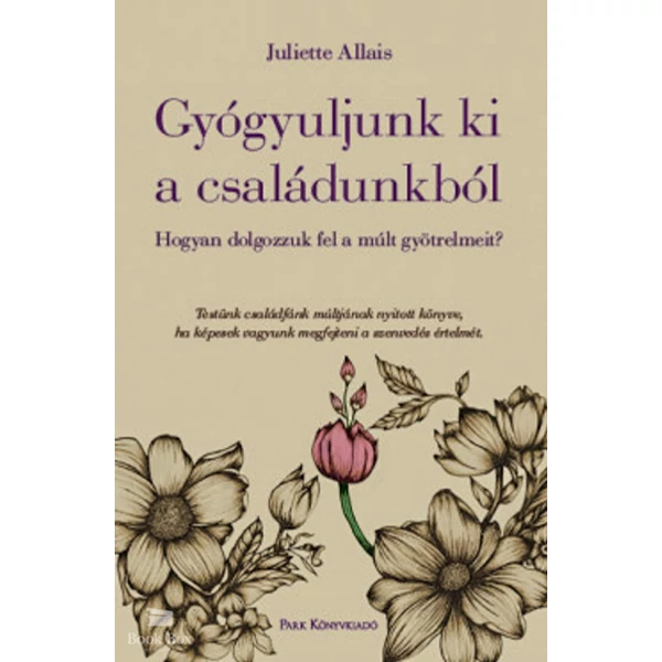 Gyógyuljunk ki a családunkból- Hogyan dolgozzuk fel a múlt gyötrelmeit?