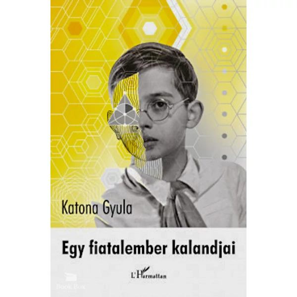 Egy fiatalember kalandjai