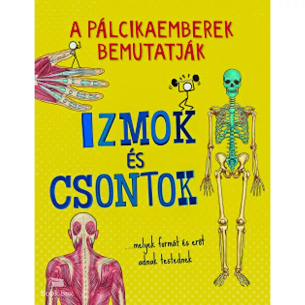 A pálcikaemberek bemutatják - Izmok és csontok
