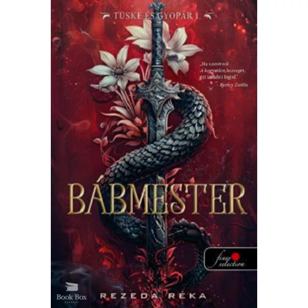 Bábmester