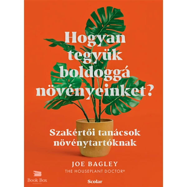 Hogyan tegyük boldoggá növényeinket?- Szakértői tanácsok növénytartóknak