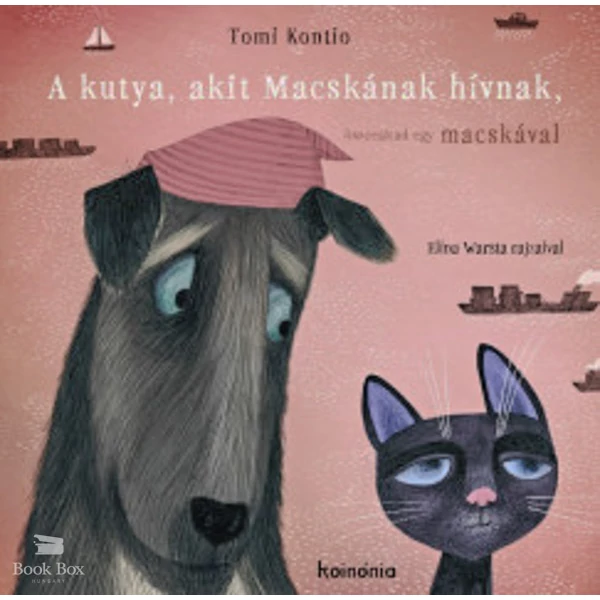 A kutya, akit Macskának hívnak, összeakad egy macskával
