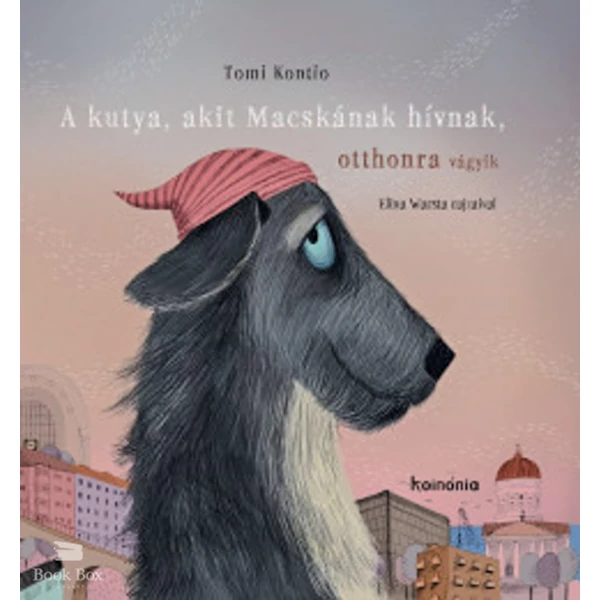 A kutya, akit Macskának hívnak, otthonra vágyik